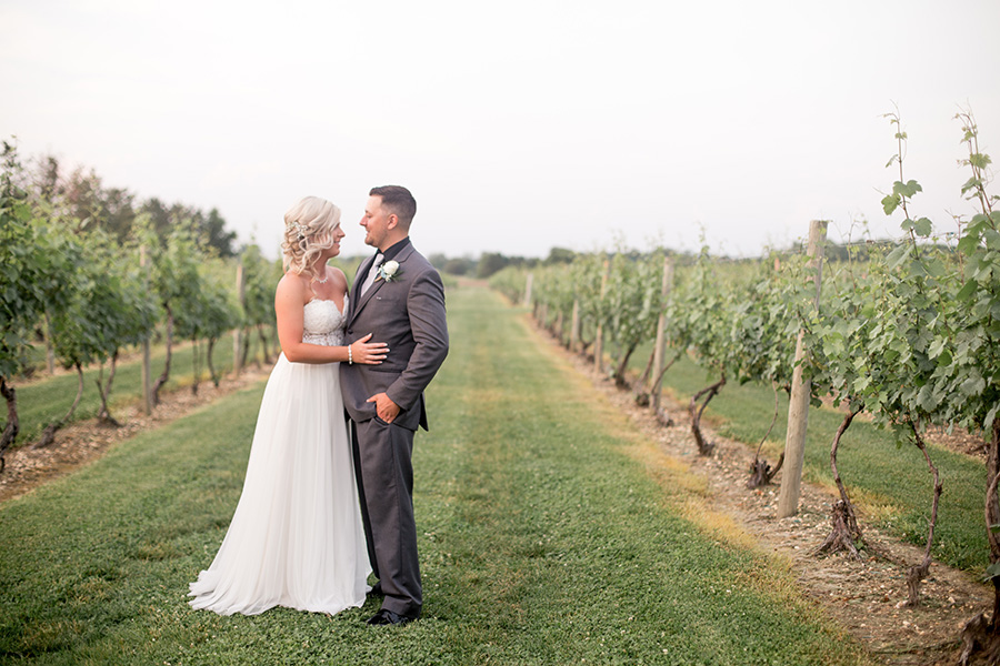 wedding portraits in the vineyards at tomasello winery