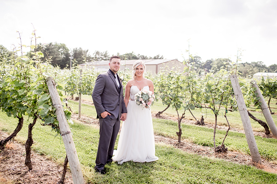 summer wedding at tomasello winery