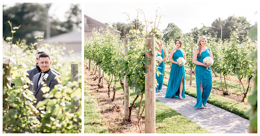 fun summer wedding in the vineyards at tomasello winery