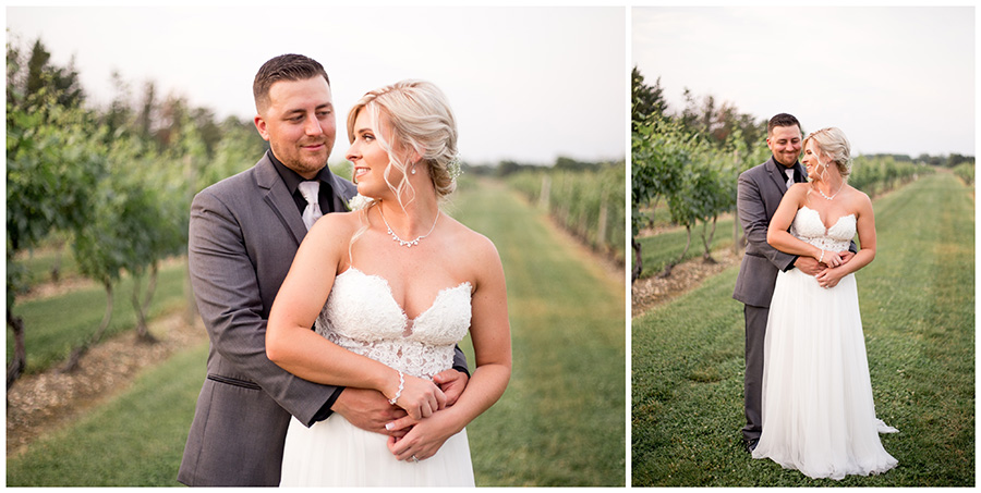 sunset portraits on their wedding day at tomasello winery