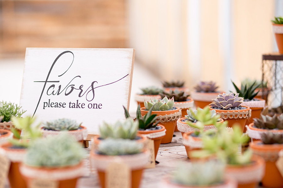 succulent wedding favors for the guests