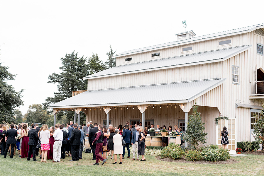 alpaca farm wedding reception venue