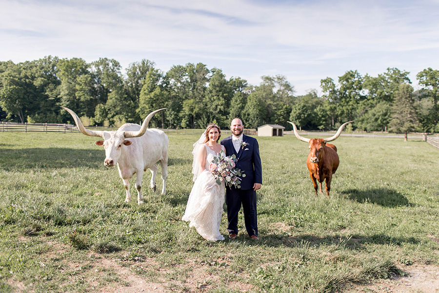 bride and groom standing in longhorn pen at ironstone ranch