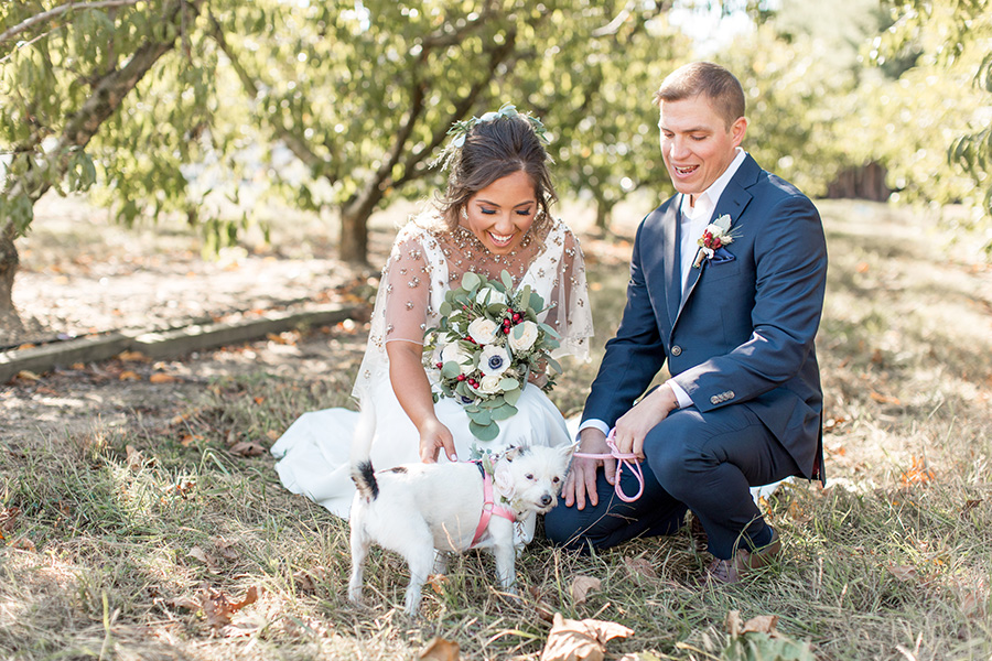 Bride and groom with their wedding day dog